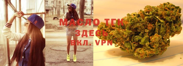 сатива Волоколамск
