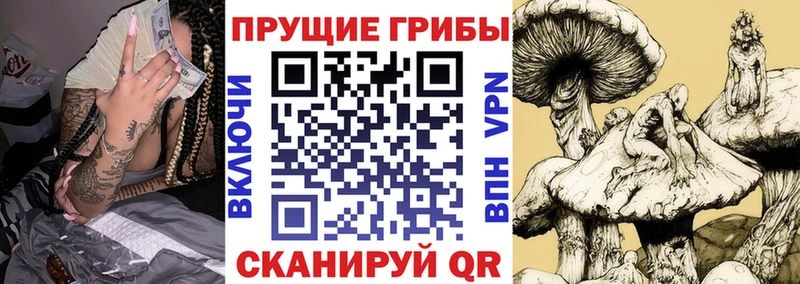 Псилоцибиновые грибы мицелий Лакинск